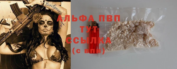 крисы Алексин
