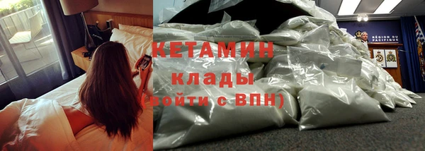 крисы Алексин